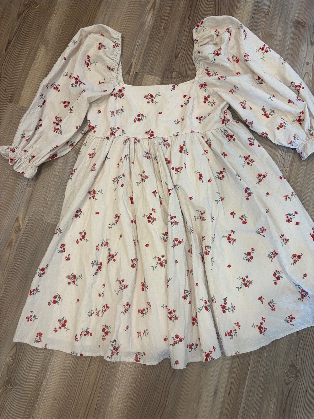 Altar'd State Cream Mini Dress with Red Floral Motif